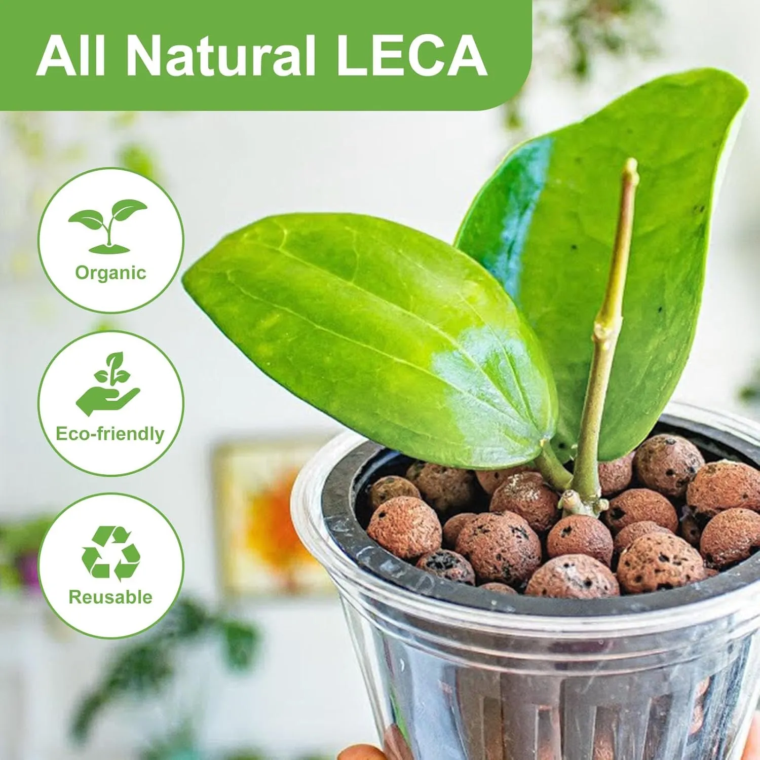 5 lbs LECA Clay Pebbles for Plants, 4-16mm LECA Balls for Indoor Plants Hydroponic, Aquaponics, Natural Leca Balls for Soil Root Development, Orchid Potting Mix