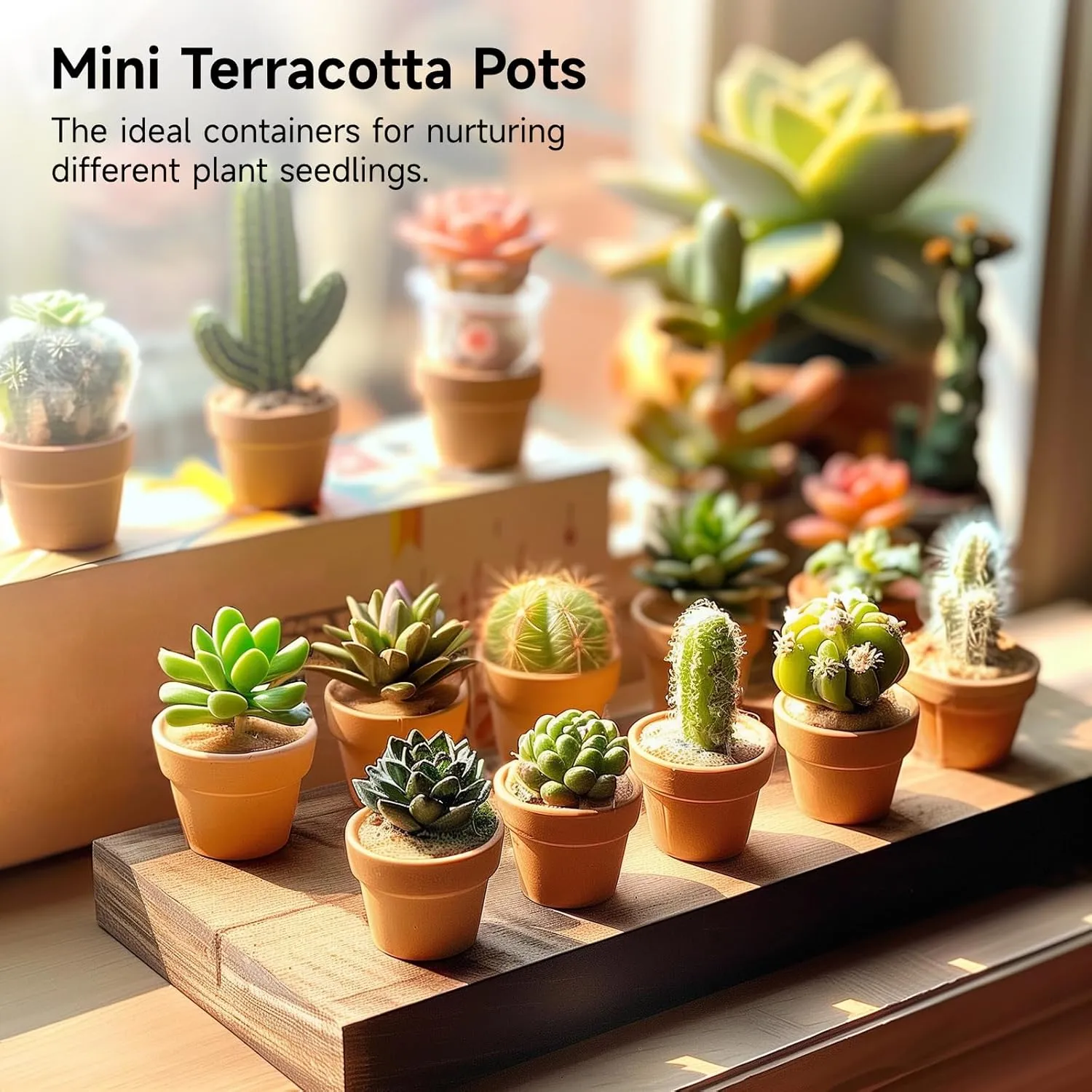 50 Pcs Mini Terracotta Pots, 1.2" Succulent Nursery Pots with Drainage Holes, Miniature Cactus Flower Planters, Tiny Clay Terra Cotta Pots for Indoor Outdoor Plants, DIY Crafts (50PCS)
