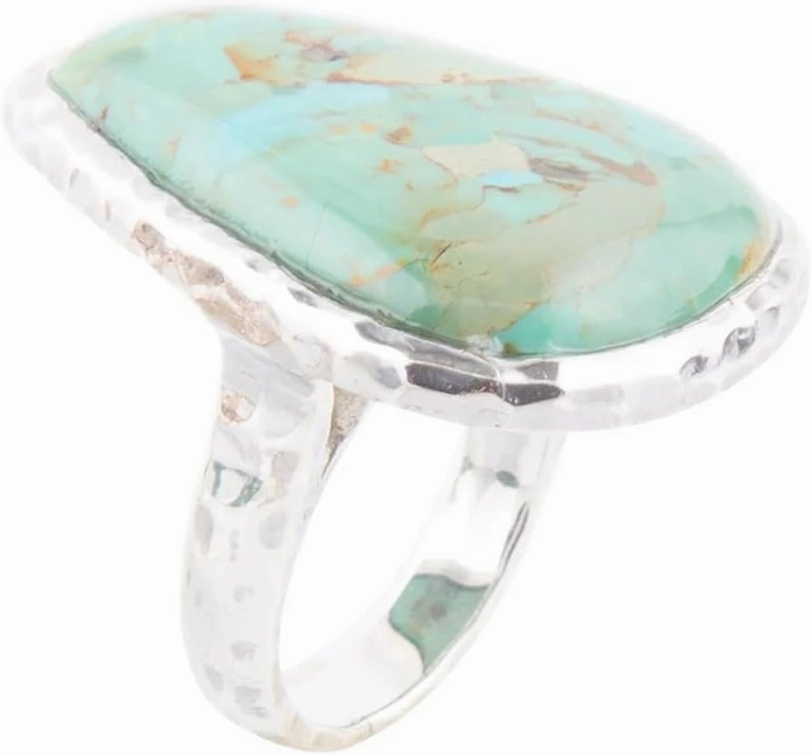 Barse Jewelry Abstract Blue Turquoise and Sterling Silver Ring