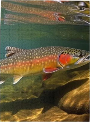 Brook Trout Fly Fishing Puzzles 500 Pieces Wooden Jigsaw Puzzle Personalized Picture Puzzles Modern Wall Art Family Decoration Photo Puzzle for Adults (20.4" x 15")