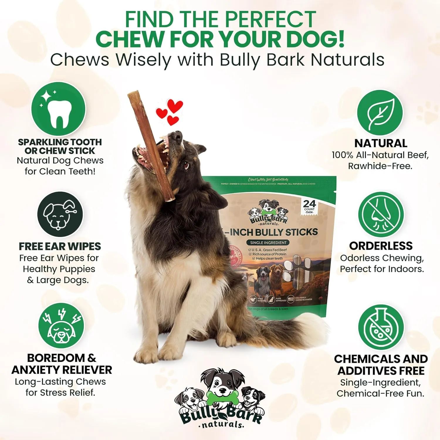Bully Bark 6” Bully Sticks for Medium & Large Dogs – 100% Natural, Grass-Fed Beef Chews, 24 Count Thin, Dog Chew Sticks – Fully Digestible, Rawhide - Free Treats