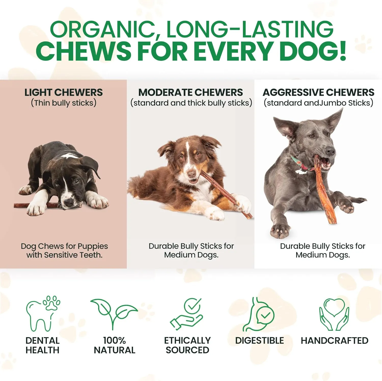 Bully Bark 6” Bully Sticks for Medium & Large Dogs – 100% Natural, Grass-Fed Beef Chews, 5 Count Thick, Dog Chew Sticks – Fully Digestible, Rawhide - Free Treats
