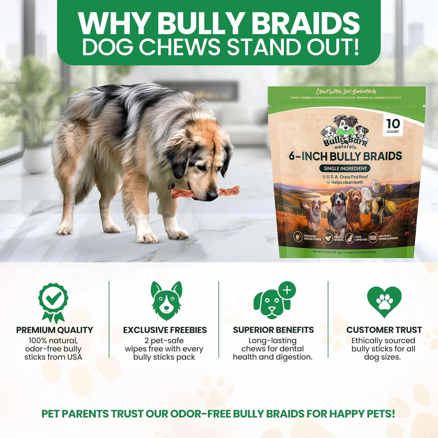 Bully Bark 6” Bully Braid for Small & Medium Dogs – 100% Natural, Grass-Fed Beef Chews, 10 Count Standard, Dog Chew Sticks – Fully Digestible, Rawhide - Free Treats