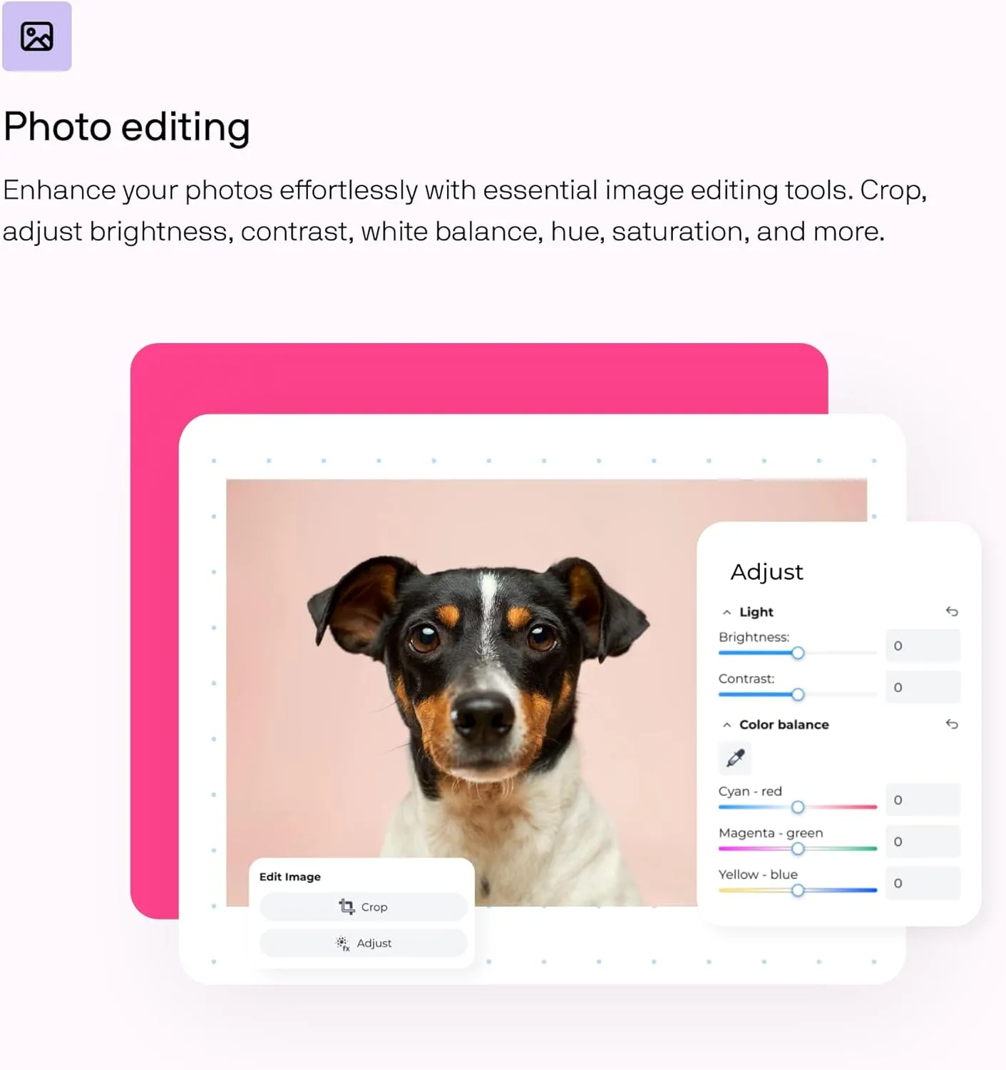 CorelDRAW Go | 1 Year Personal Subscription | Graphic Design Software for Occasional Users | Illustration, Layout, and Photo Editing [Web Access]