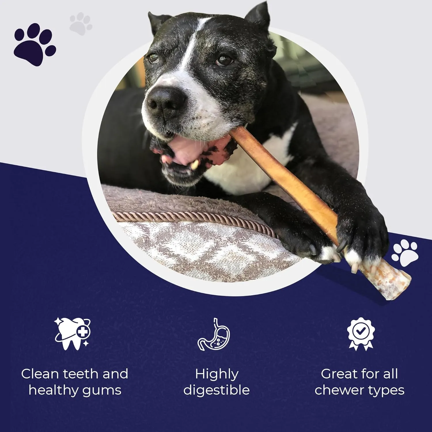 Devil Dog Pet Co. Jumbo Bully Sticks – 12 Inch, 6 Pack Dog Chews, 100% Natural, Single Ingredient, Free-Range Grass-Fed Beef – Long Lasting, Rawhide-Free Treats for Dogs