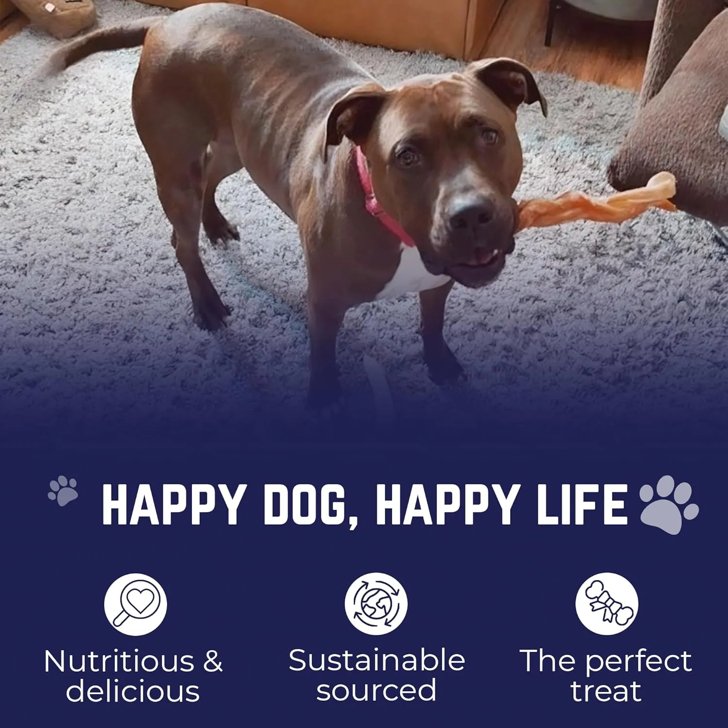 Devil Dog Pet Co. Jumbo Bully Sticks – 12 Inch, 6 Pack Dog Chews, 100% Natural, Single Ingredient, Free-Range Grass-Fed Beef – Long Lasting, Rawhide-Free Treats for Dogs