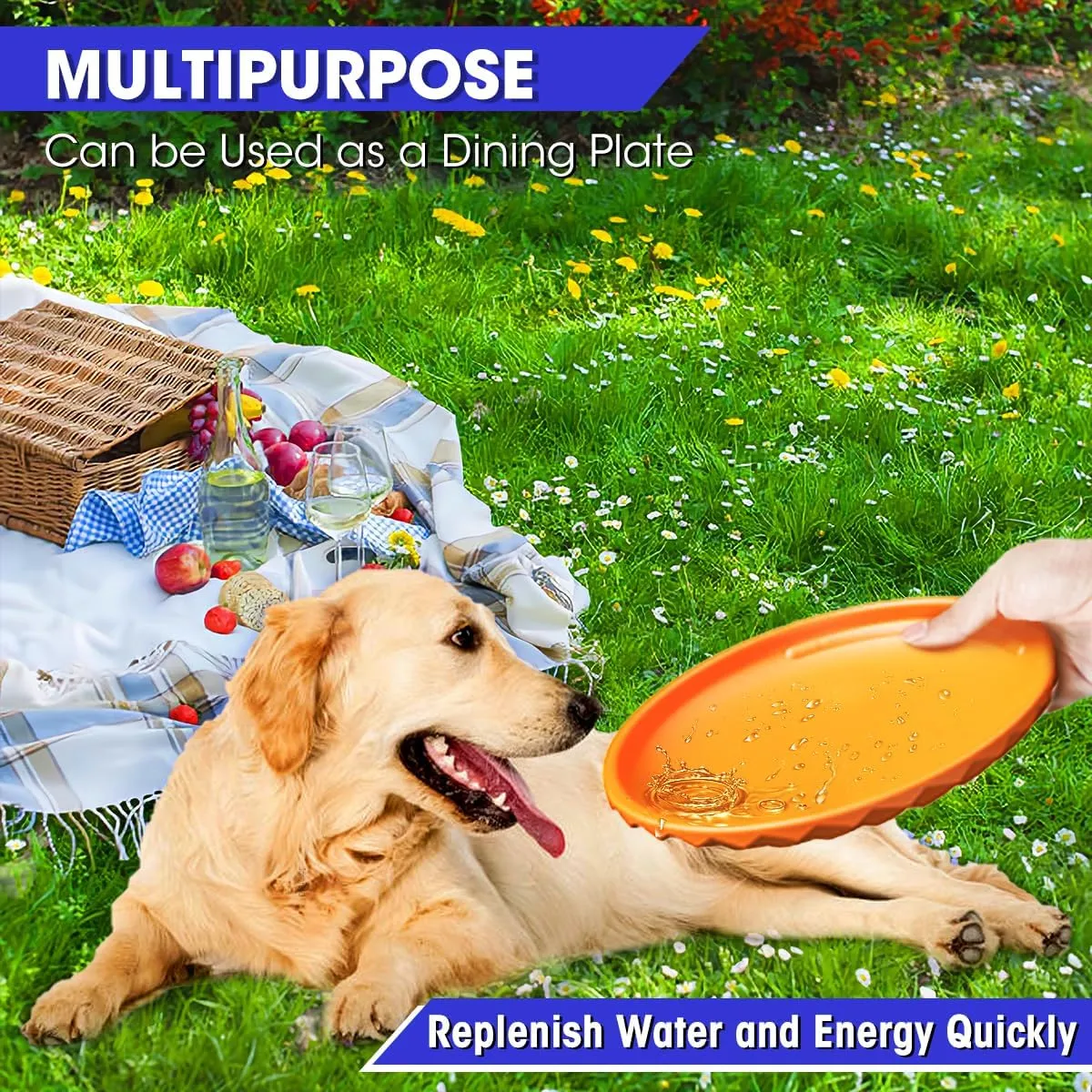 Dog Flying Disc, Dog Flyer Toy 7.2 Inch, Tear Resistant Soft TPR Material, Durable Interactive Outdoor Fetch Toy-Floats in Water, Safe on Teeth for Puppies(4Color)