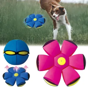 FlidRunest 2PCS Pet Toy Flying Saucer, Flying Saucer Dog Toy with 3 Light for Interactive Dog, Cats, Children's Foot Ball, Outdoor Games, Camping Games