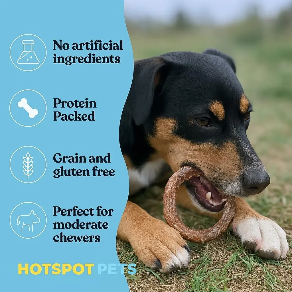 hotspot pets Bully Stick Rings for Dogs (10 Pack) 4 Inch Circles- Premium All Natural Long Lasting Twisted Beef Pizzle Dog Chew Treats - Grain Free, Fully Digestible, Rawhide Alternative Thick Chews