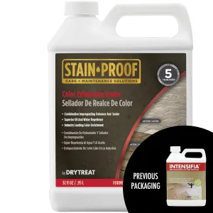 Intensifia - Combination Enhancer & Sealer for Natural Stone, Masonry, Patios, Driveways, Floors, Countertops & Garages - 130812-1 Quart