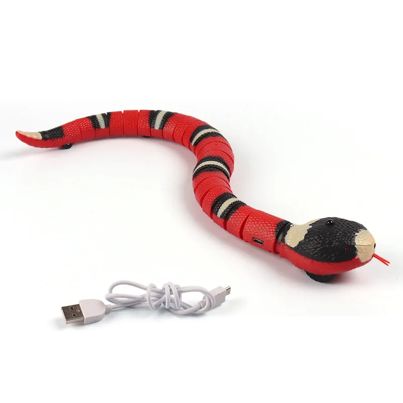 Interactive Pet Toys