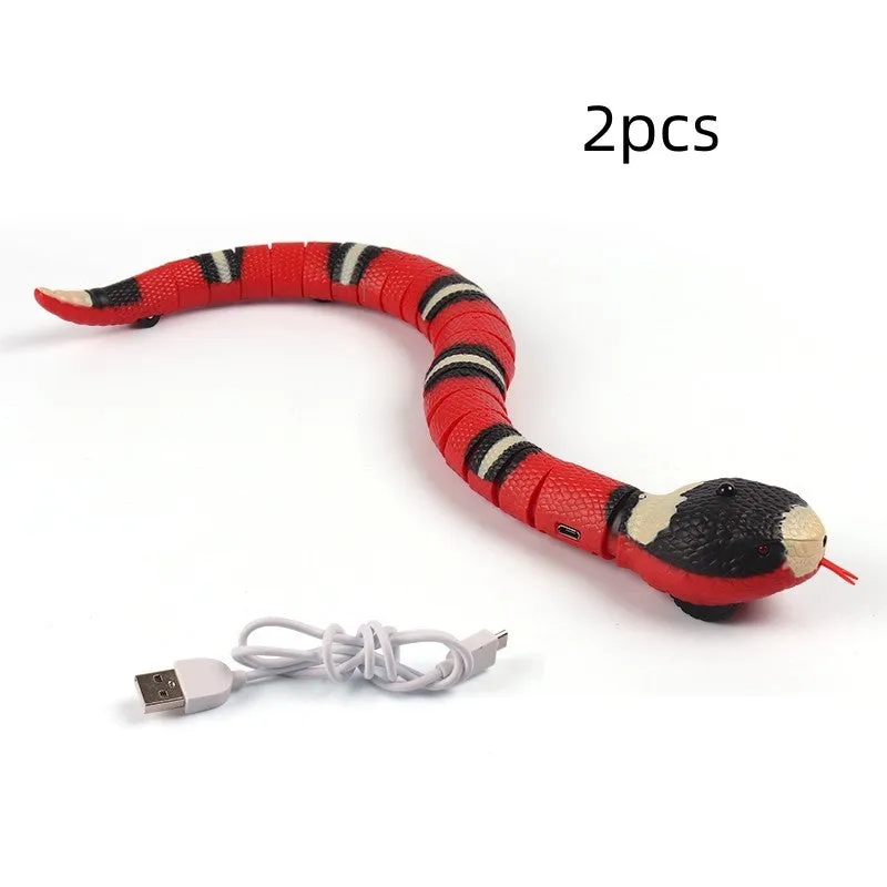 Interactive Pet Toys