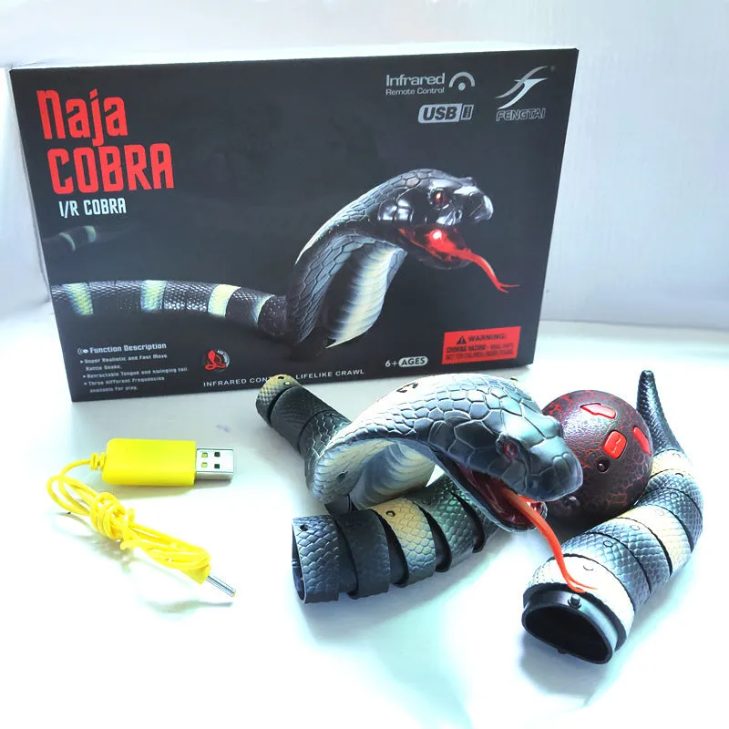 Interactive Pet Toys