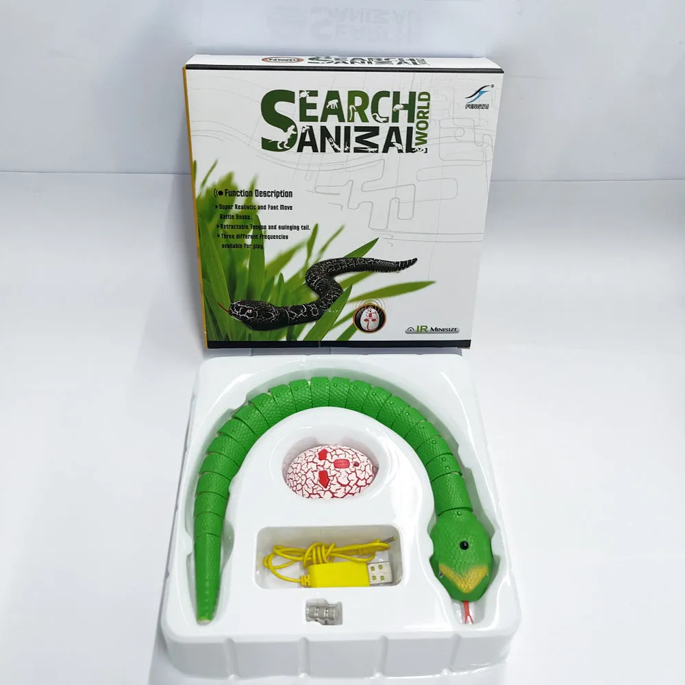 Interactive Pet Toys