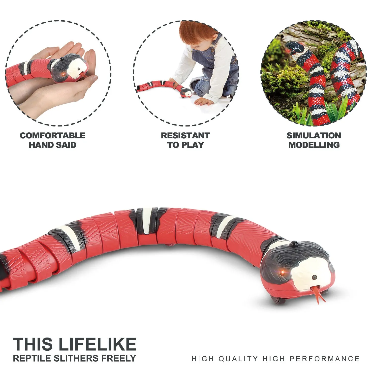 Interactive Pet Toys