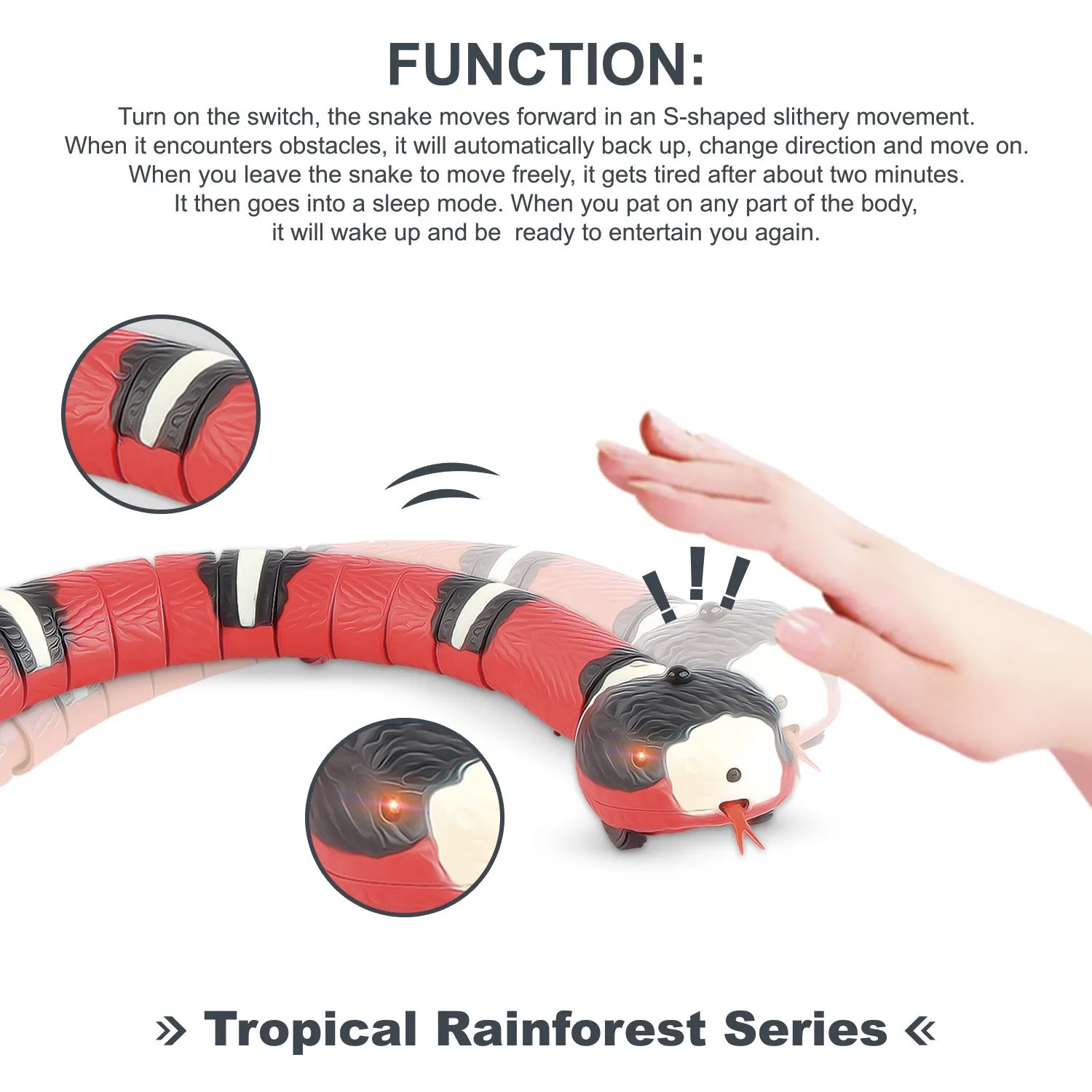 Interactive Pet Toys