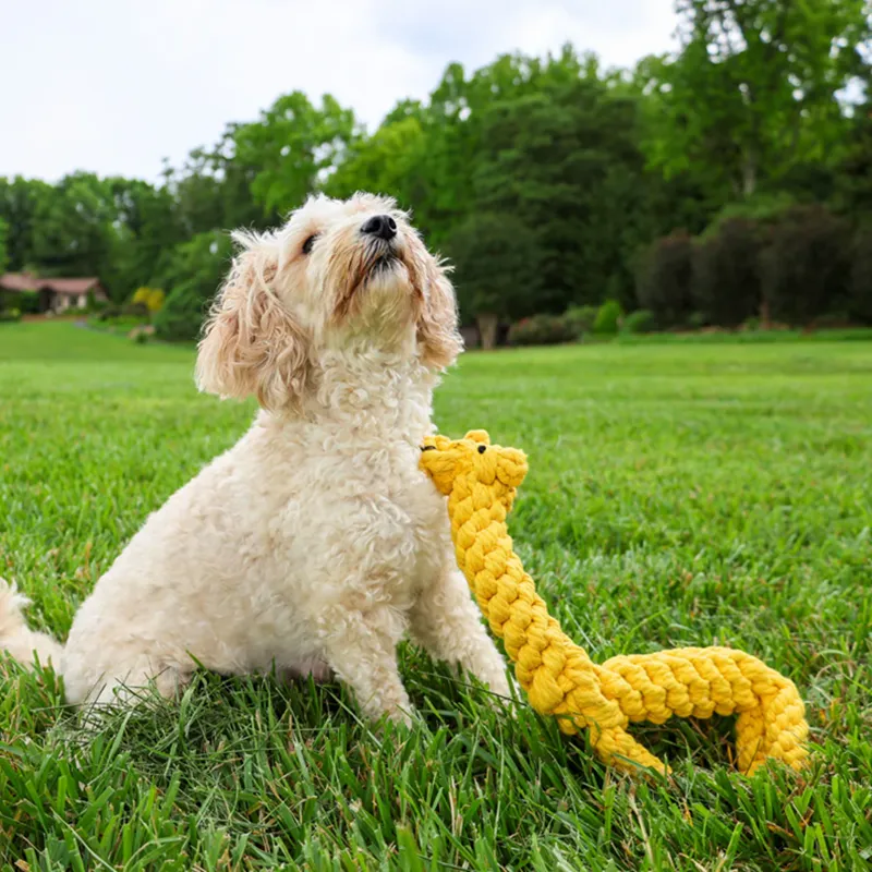 Knotty Interactive Upcycled Cotton Rope Dog Toy, Joy the Giraffe
