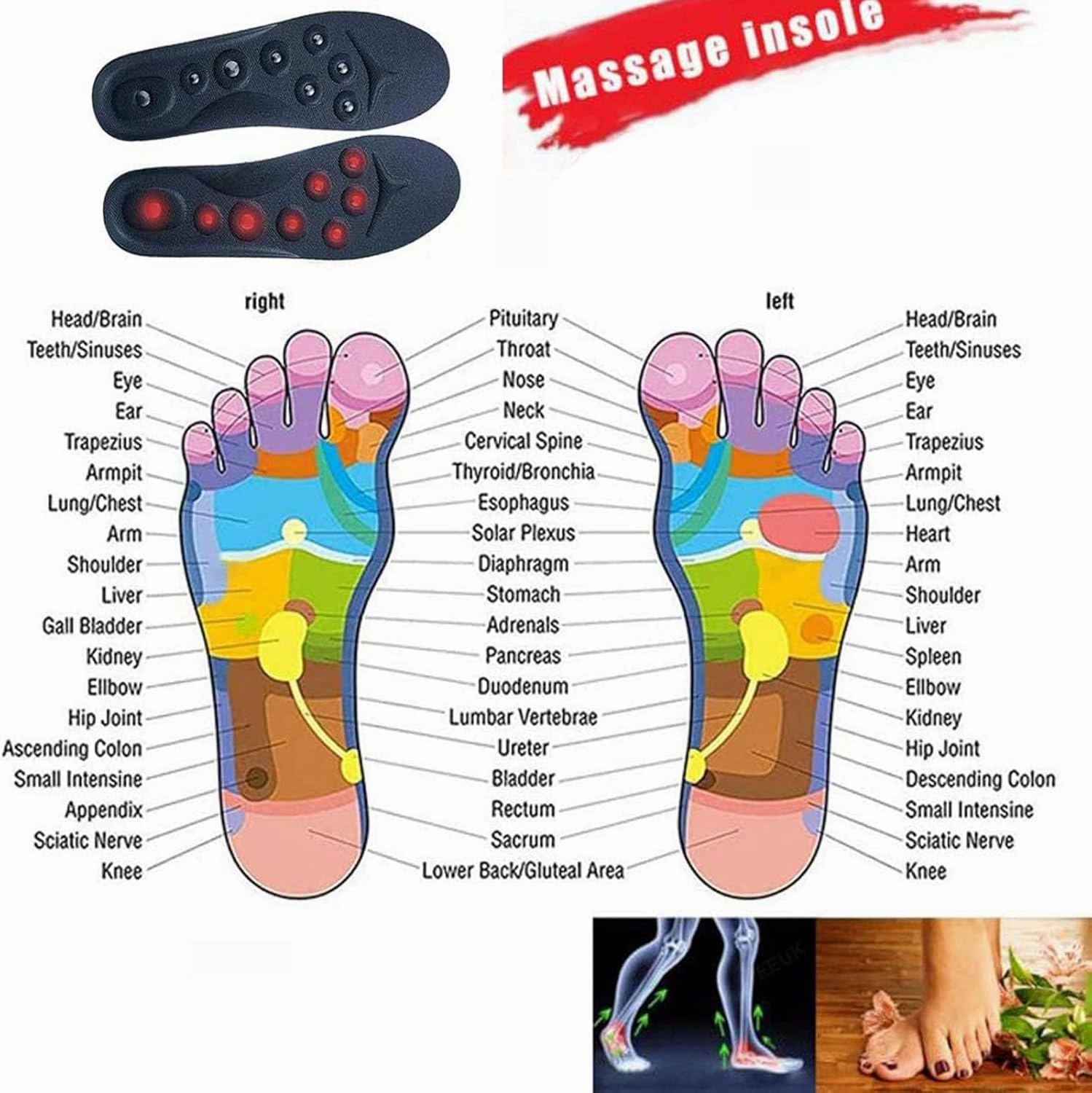 Magnet Massage Foot Insole, Acupressure Magnetic Therapy Insoles, Acupressure Slimming Orthotic Insoles, Breathable Reflexology Pain Relief Shoe Insoles Cutable Size for Men/Women,S(35-41),2 PAIRS