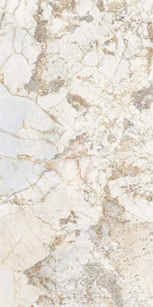 Meteorite Natural Porcelain 1200x600x9mm