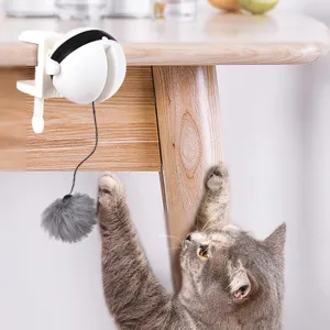 Motion Detecting Cat Toy