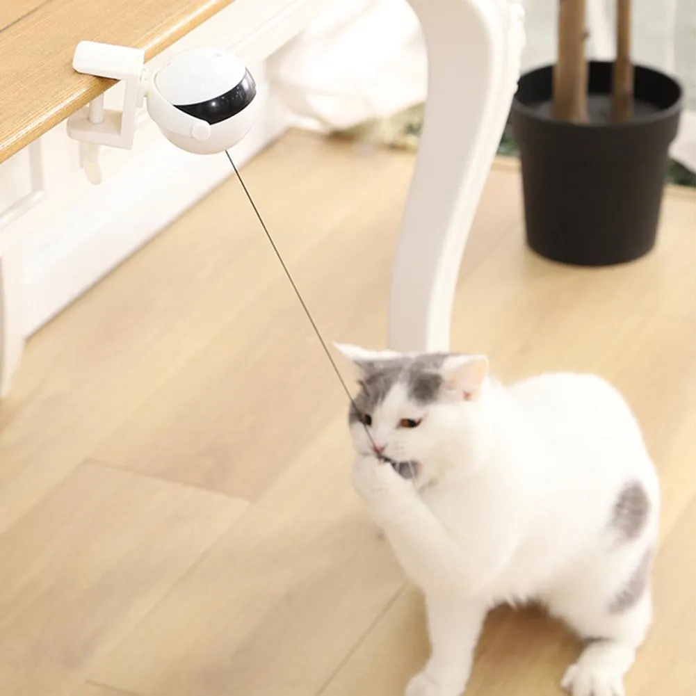 Motion Detecting Cat Toy