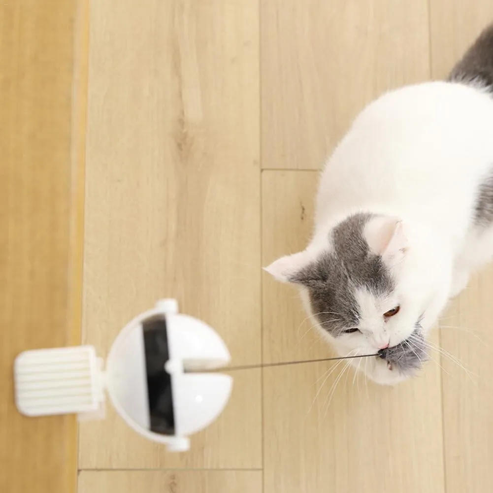 Motion Detecting Cat Toy