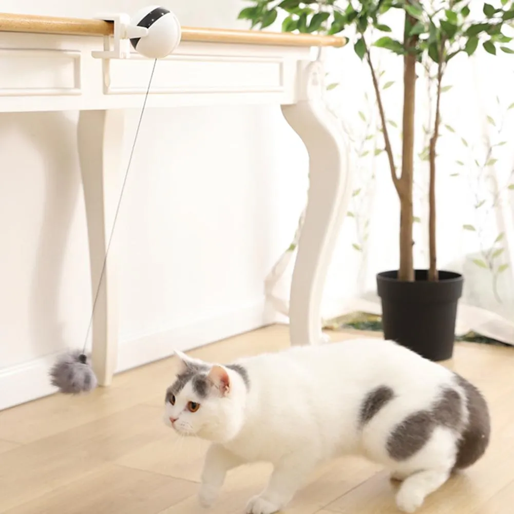 Motion Detecting Cat Toy