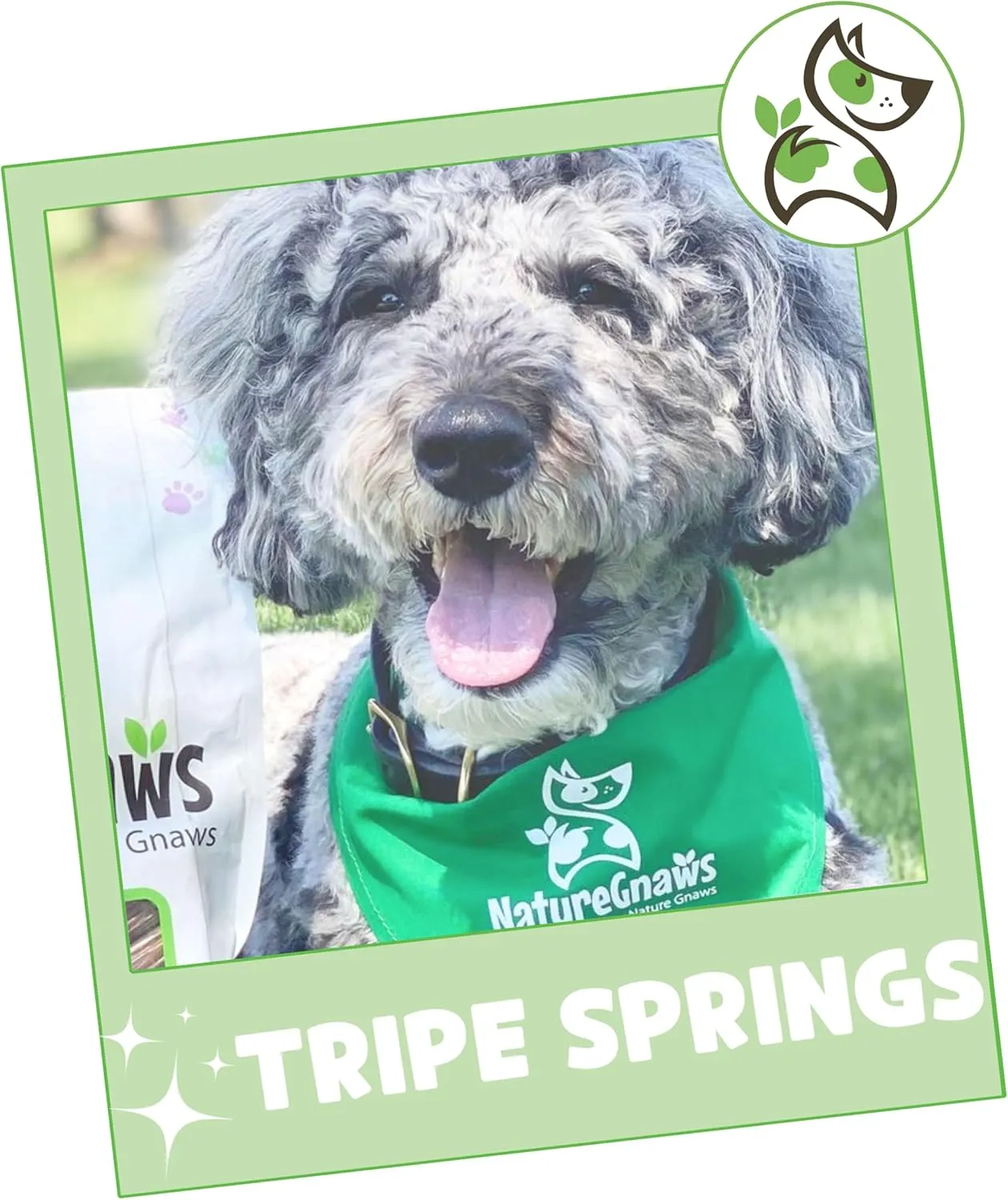 Nature Gnaws Tripe Twist Springs for Dogs - Premium Natural Beef Dog Treats - Simple Single Ingredient Crunchy Dog Chews - Training Reward - 8 Inch 10 Count