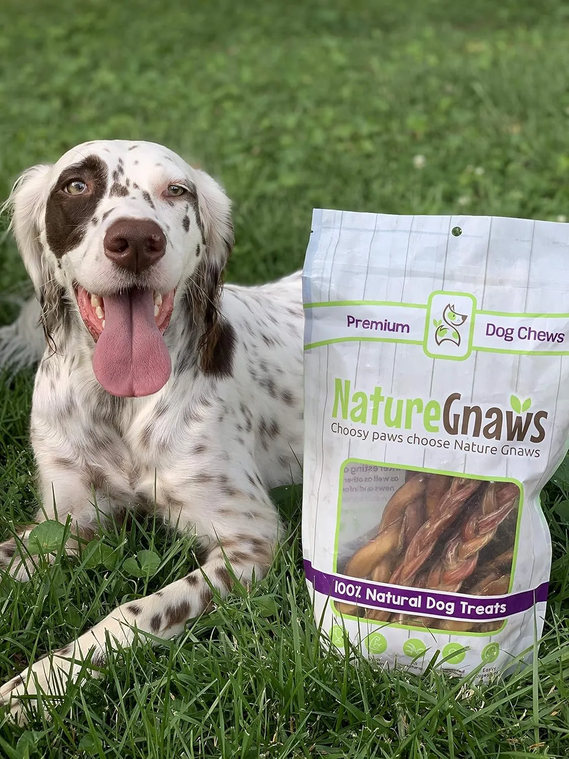 Nature Gnaws Variety Pack for Small Dogs (12 Count) - Bully Sticks, Beef Tendons and Tripe Twists for Dogs - Natural Long Lasting Beef Dog Chew Bones - Rawhide Free