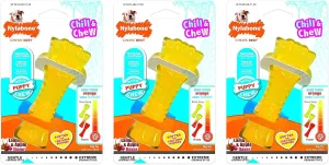 Nylabone 3 Pack of Chill and Chew Bones, Regular, Frozen Puppy Teething Toys