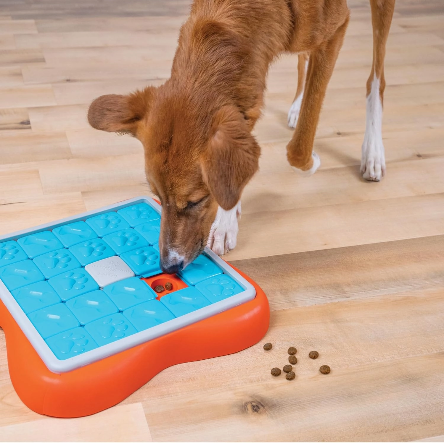 Outward Hound by Nina Ottosson Challenge Slider Treat Puzzle Enrichment Toy, Level 3 Advanced, Multicolored