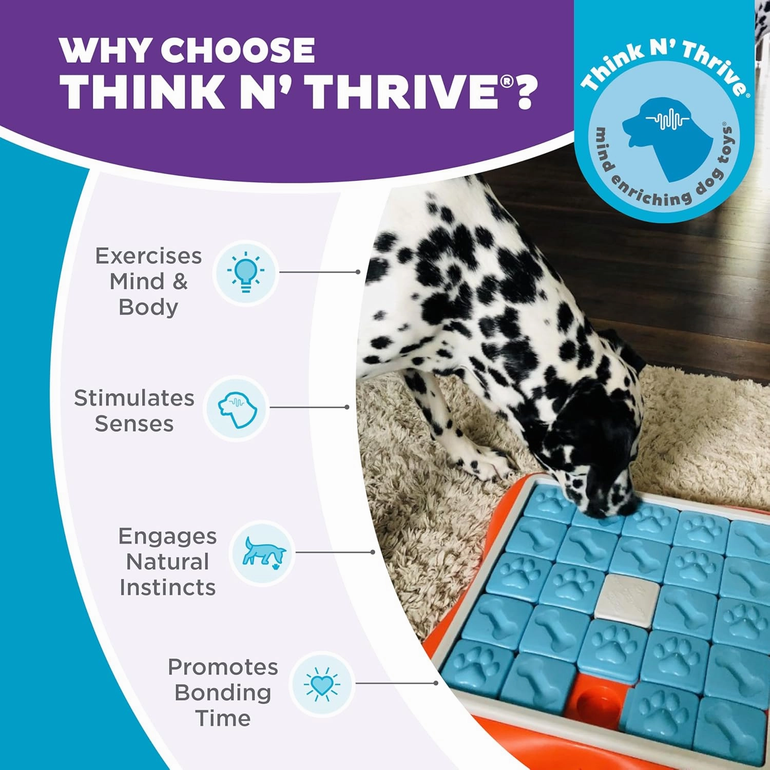 Outward Hound by Nina Ottosson Challenge Slider Treat Puzzle Enrichment Toy, Level 3 Advanced, Multicolored