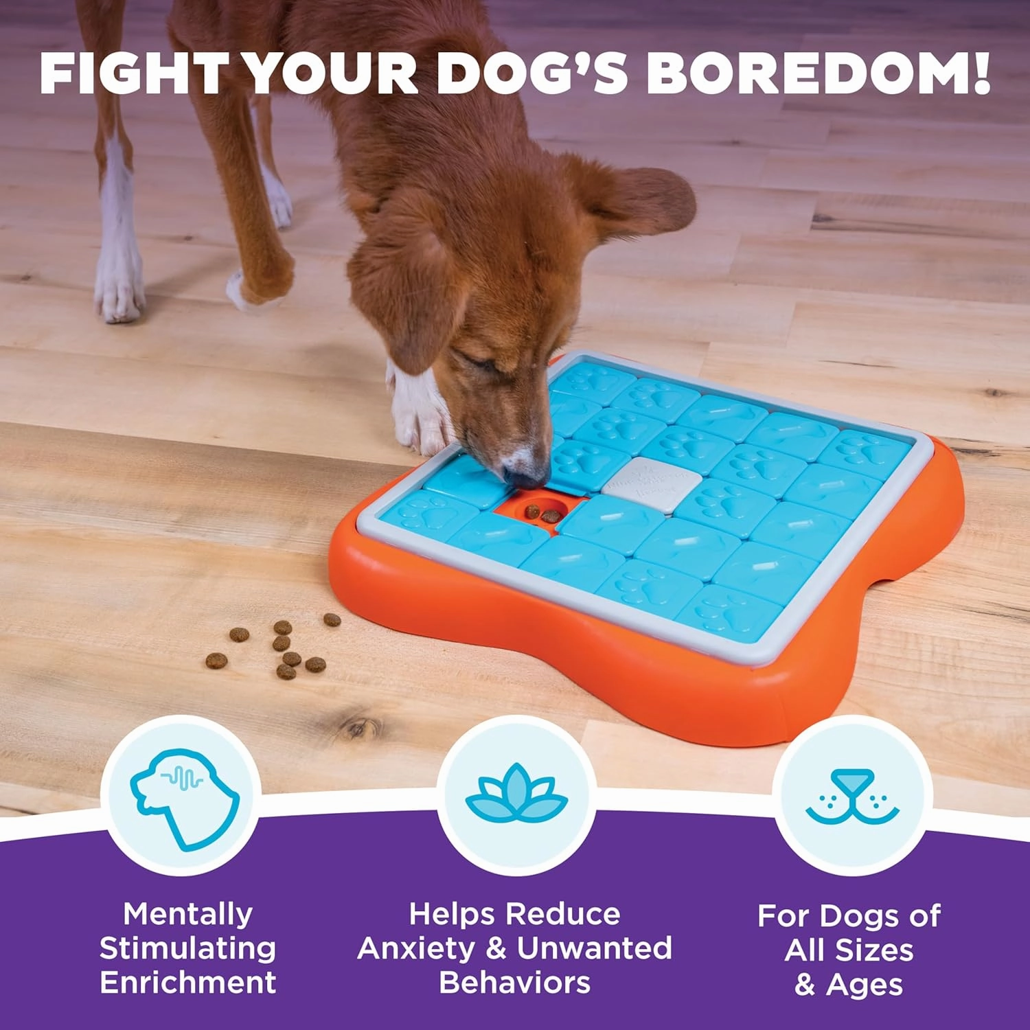 Outward Hound by Nina Ottosson Challenge Slider Treat Puzzle Enrichment Toy, Level 3 Advanced, Multicolored