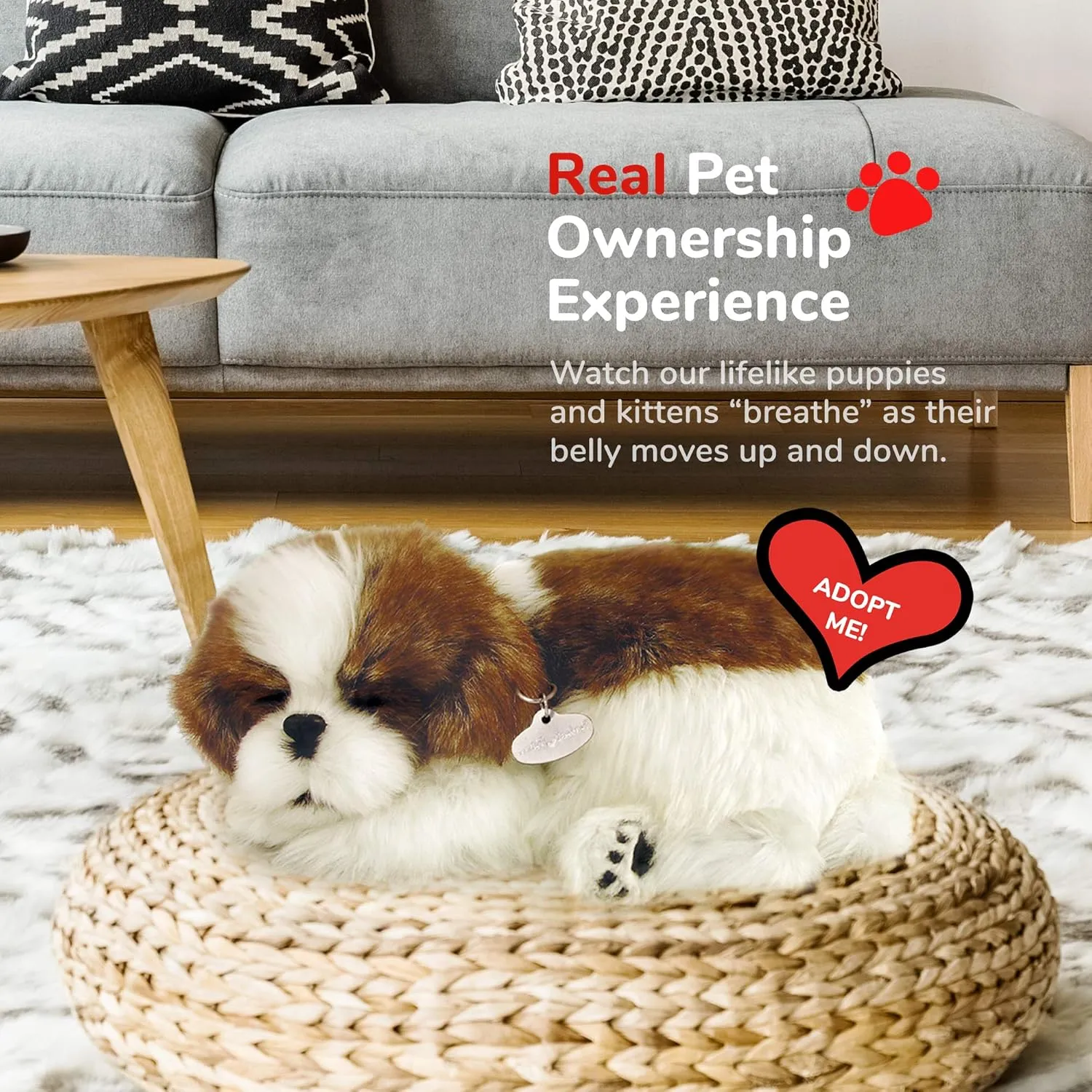 Perfect Petzzz | Peluche Réaliste - Shih Tzu| Avec Boîte de Transport et Lit | Piles Incluses