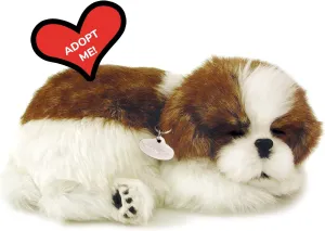Perfect Petzzz | Peluche Réaliste - Shih Tzu| Avec Boîte de Transport et Lit | Piles Incluses