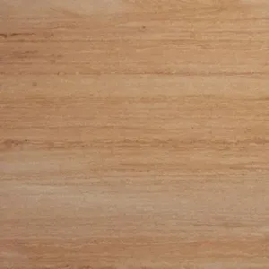 Sandstone Honed Teak 600x300x20mm
