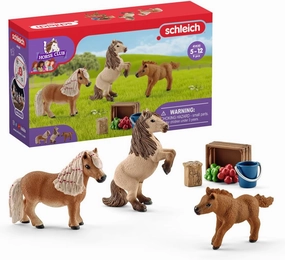 Schleich Horse Club - 8 PC Miniature Shetland Pony Family Playset with 3 Horses and Accessories - Collectable Farm Animal Figurines - Realistic Mini Horse Toys for Girls and Boys - Kids Ages 5 