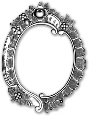 Sizzix 3D Impresslits Embossing Folder 665016 Floral Frame by Tim Holtz One Size, Multicolor