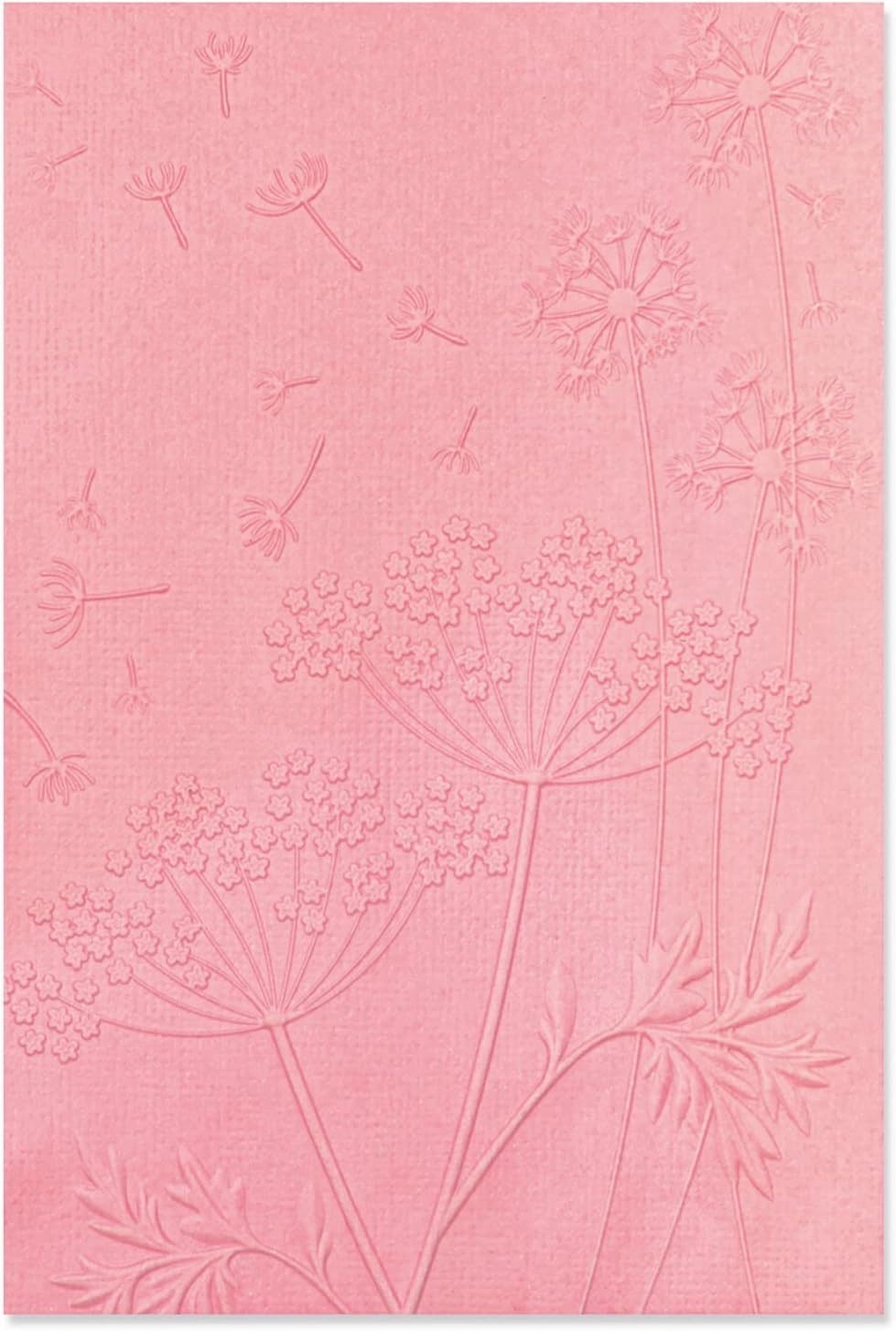 Sizzix Sizzx 3-D Textured Impressions Embossing Folder Summer Wishes by Kath Breen | 665763 | Chapter 3 2022, Multicolor