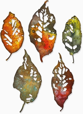Sizzix Thinlits Die Set 5PK Leaf Fragments by Tim Holtz, 665559