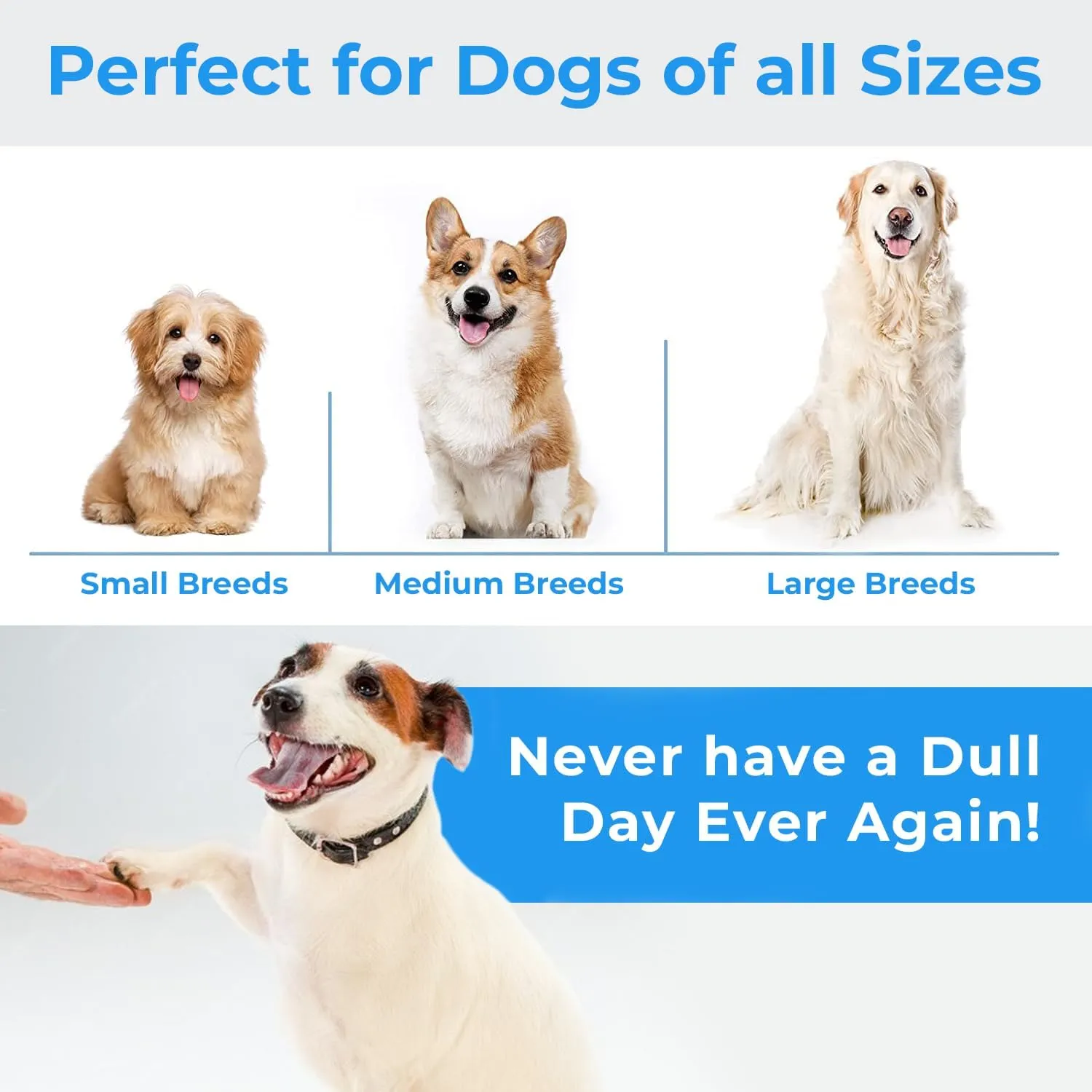 Stride Small Dog Toys - Pack of 14, Interactive & Durable Rope Toys for Small & Medium Dogs, Non-Toxic & Dye Free Cotton, Ideal for Puppy Teething, Anxiety & Boredom Relief