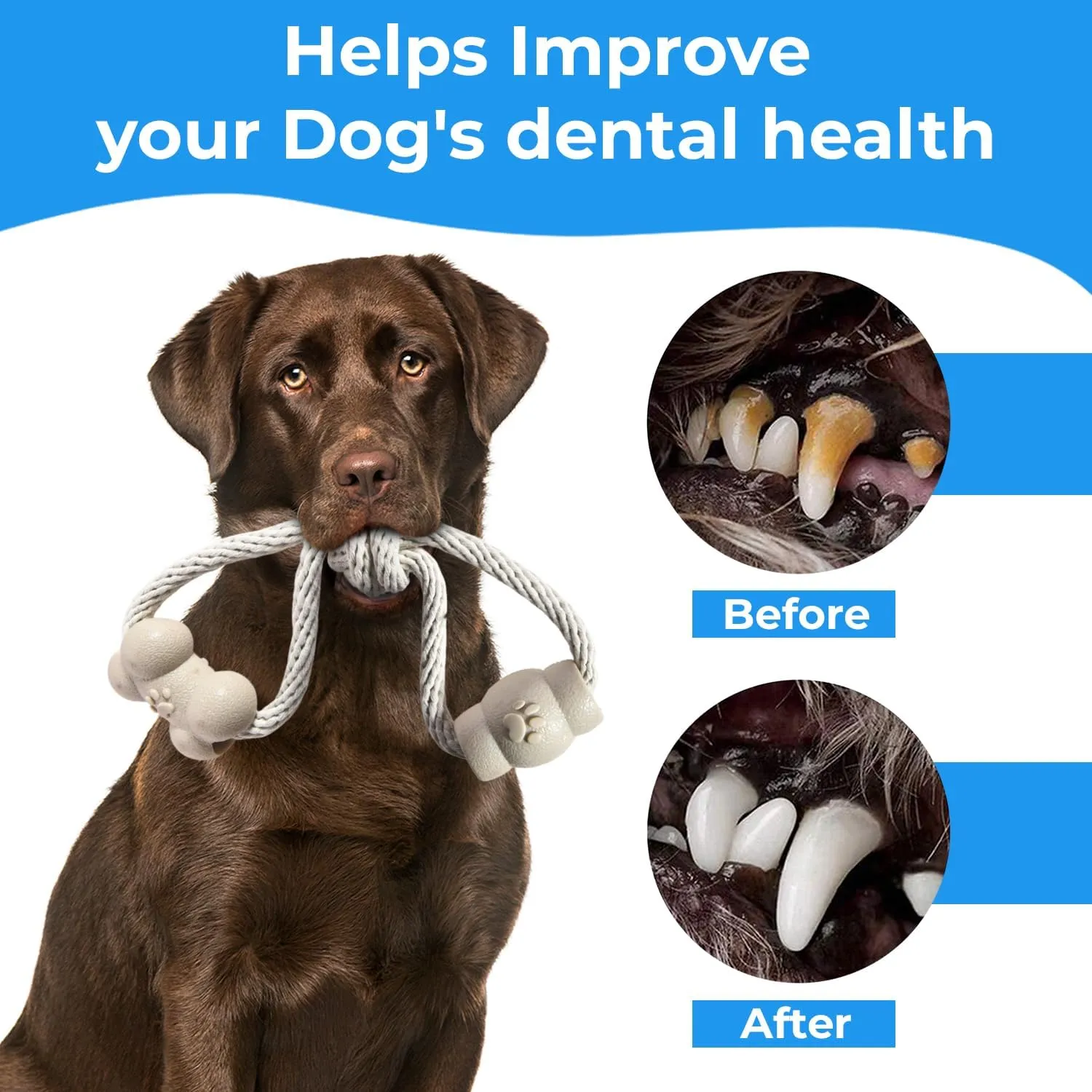 Stride Small Dog Toys - Pack of 14, Interactive & Durable Rope Toys for Small & Medium Dogs, Non-Toxic & Dye Free Cotton, Ideal for Puppy Teething, Anxiety & Boredom Relief