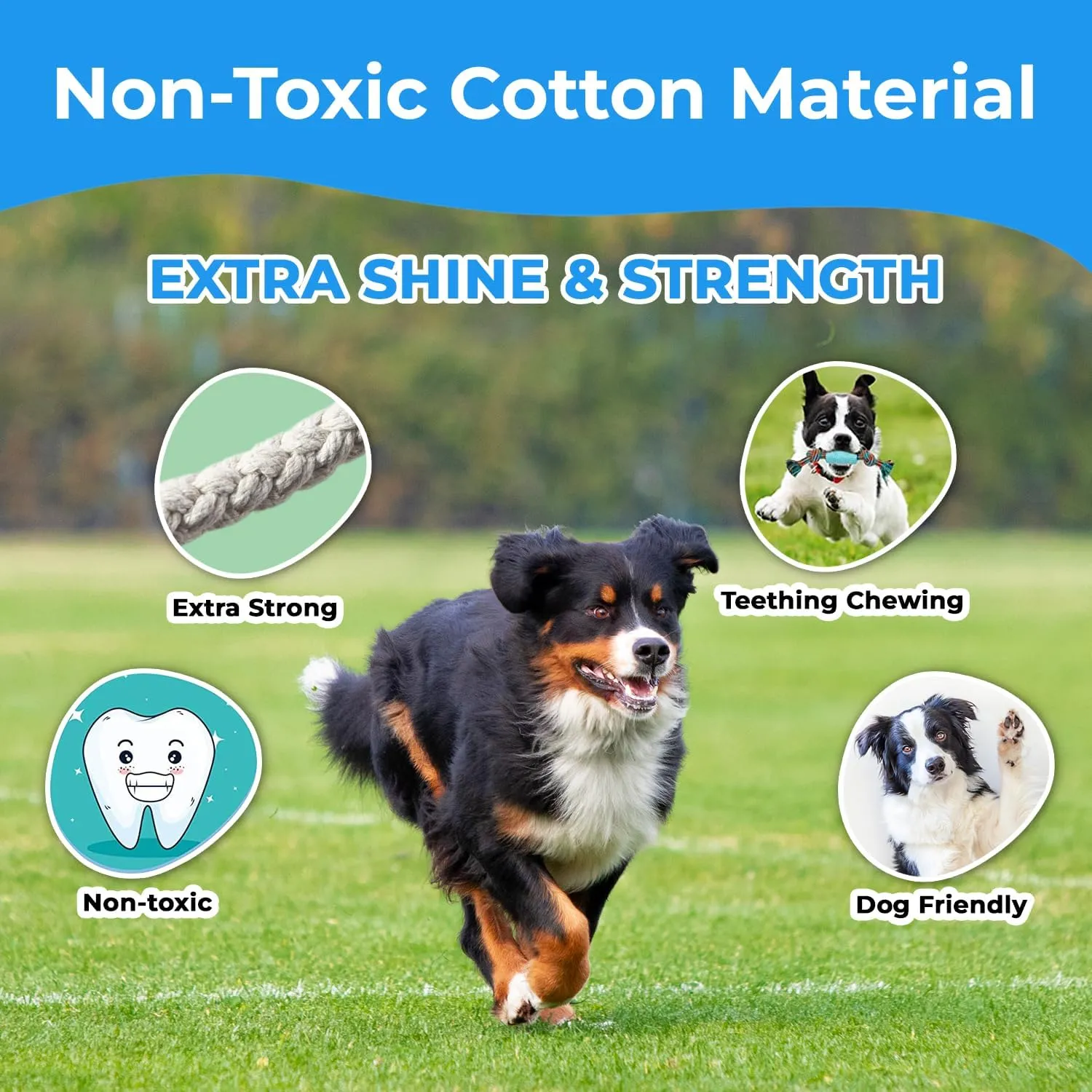 Stride Small Dog Toys - Pack of 14, Interactive & Durable Rope Toys for Small & Medium Dogs, Non-Toxic & Dye Free Cotton, Ideal for Puppy Teething, Anxiety & Boredom Relief