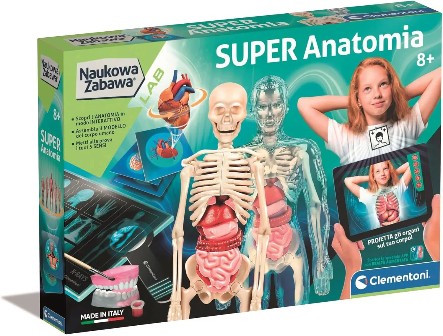 Super Anatomy (EN) - 50919