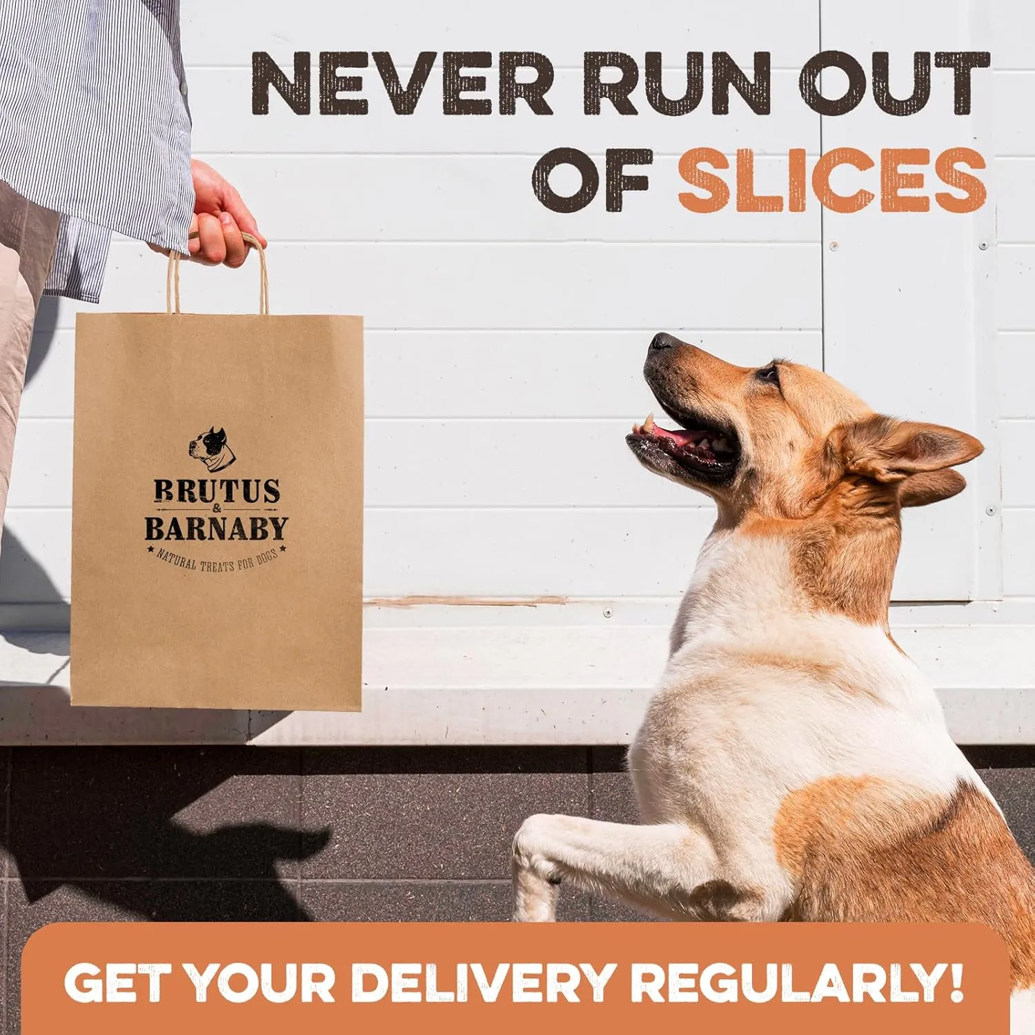 Sweet Potato Slices For Dogs - Single Ingredient Grain Free Dog Treats, Best High Anti-Oxidant Healthy 100% Natural Thick Cut Dried Sweet Potato Dog Treats With No Added Preservatives (14oz)