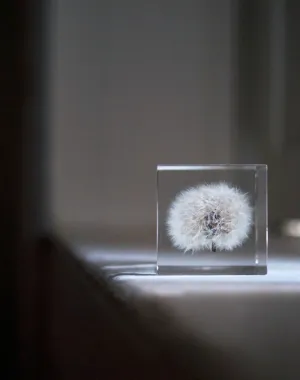 the eternal wish.....paperweight and so much more.