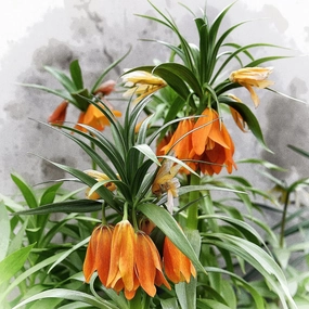 Wooden Puzzles Orange Alpine Flowers 500 Piece Jigsaw Puzzle Adult Jigsaw Puzzles Fun and Challenging Positive Thinking Party Entertainment Perfect Family Puzzles